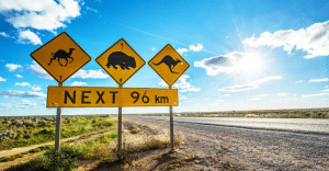 Gap-Year-road-trip-adventures-in-South-Australia