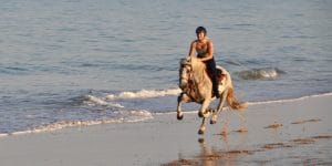 Horse riding in spain